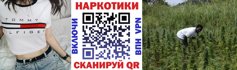 Все наркотики Константиновск Alpha-PVP  Меф  Гашиш  Конопля  Псилоцибиновые грибы  Cocaine 