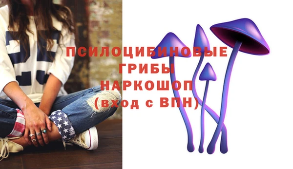 ECSTASY Алексеевка