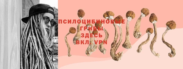 apvp Саяногорск