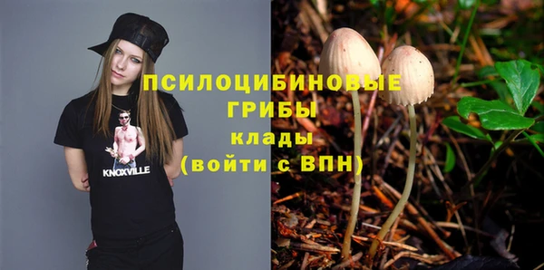 прущие крисы Алзамай