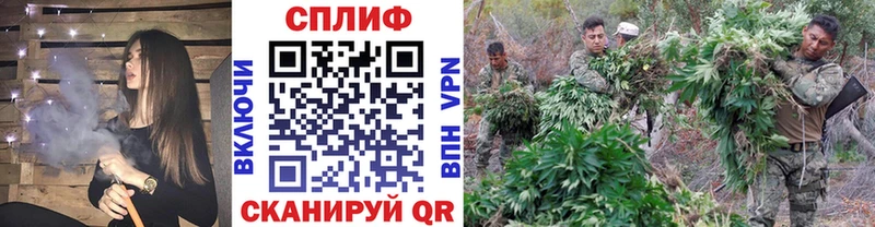 купить наркотик  Константиновск  это официальный сайт  Бошки марихуана ГИДРОПОН 